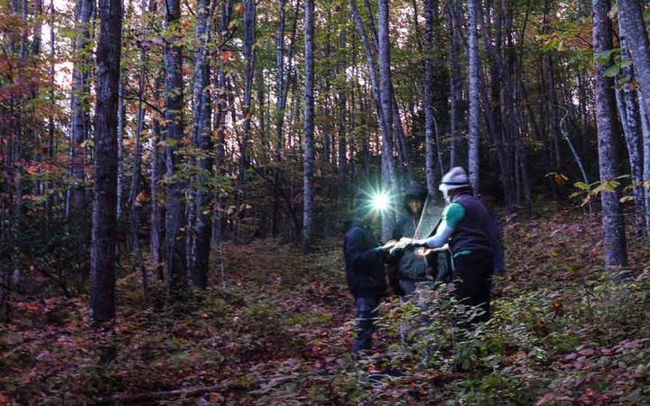 students wearing headlamps look at a map on a backpacking trip in north carolina